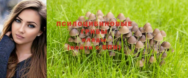 дмт Алексеевка