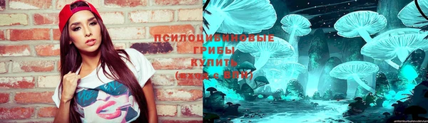apvp Алексин
